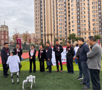 阐述了勾当的立异形瞻视角 